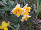 DSCF0175