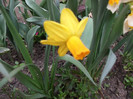 DSCF0176