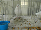 DSCN3514