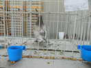 DSCN3525