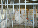 DSCN3530