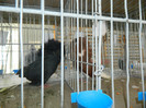 DSCN3533