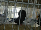 DSCN3534