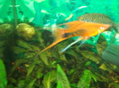 DSC01786
