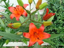 DSC00732