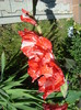 DSC01260