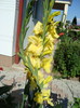 DSC01262