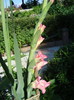 DSC01263