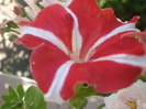DSC01274