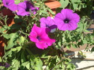 DSC01276