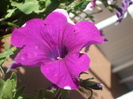 DSC01278