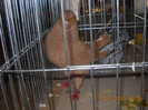 DSCN0251