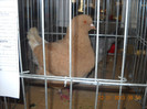 DSCN0252