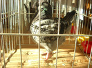DSCN0259