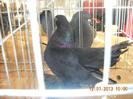 DSCN0261