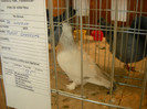 DSCN0265