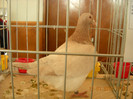 DSCN0267