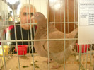 DSCN0269