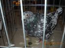 DSCN0270