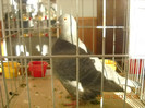 DSCN0271