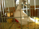 DSCN0272