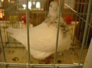 DSCN0273
