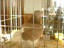 DSCN0275
