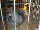 DSCN0277