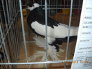 DSCN0284