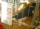 DSCN0290