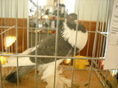 DSCN0291