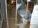 DSCN0292