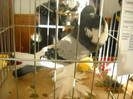 DSCN0293