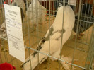 DSCN0294