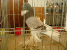 DSCN0296