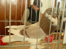 DSCN0298