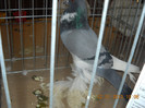 DSCN0300