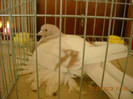 DSCN0301