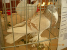 DSCN0302
