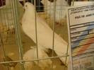 DSCN0304