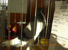 DSCN0305
