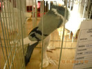 DSCN0306
