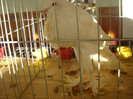 DSCN0307