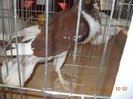 DSCN0308