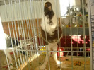DSCN0309