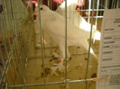 DSCN0310