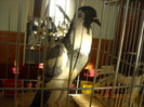 DSCN0311