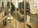 DSCN0314