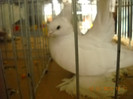 DSCN0324