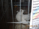 DSCN0327
